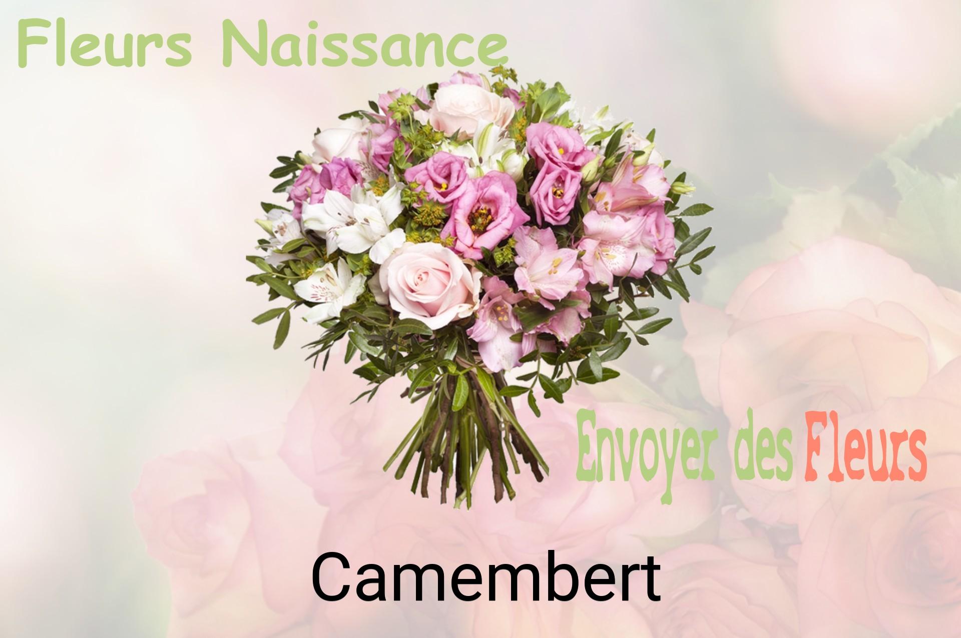 Bouquet de fleurs de naissance livré à Camembert