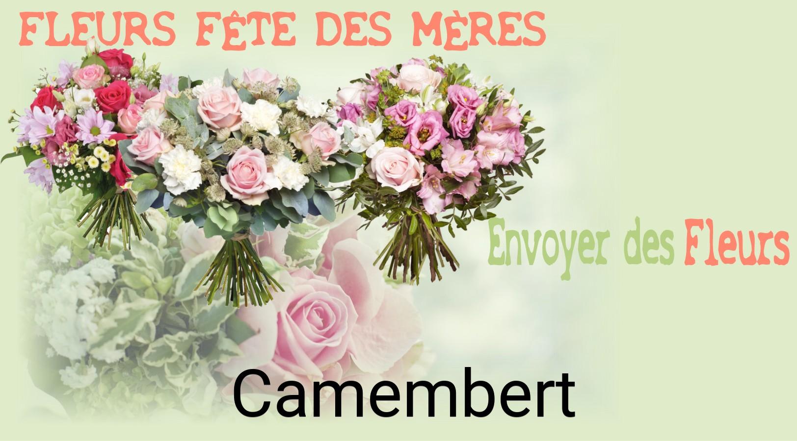 Bouquet de Fête des Mères livré à Camembert